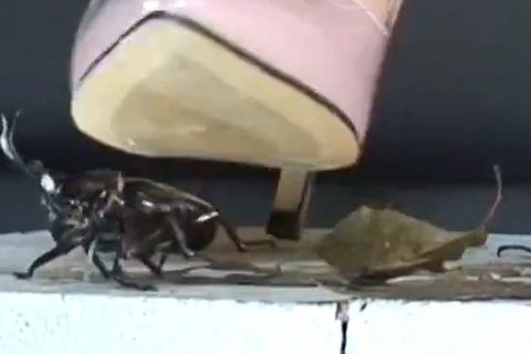 復刻　めいちゃんのピンクエナメルヒールで兜クラッシュ　３