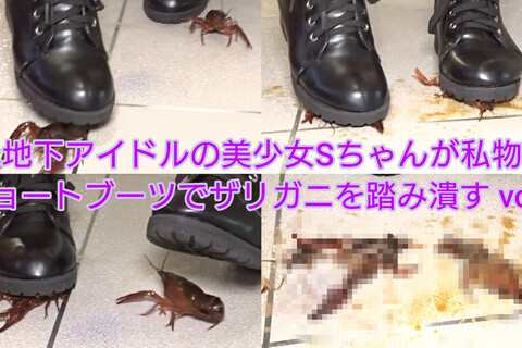 元地下アイドルの美少女Sちゃんが私物のショートブーツでザリ...