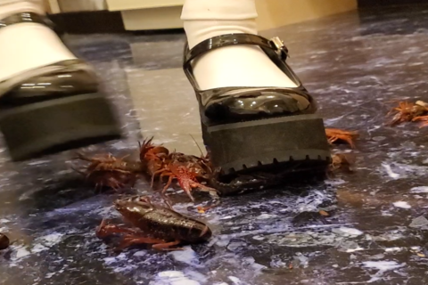 新「エルザさん」ストラップパンプス１