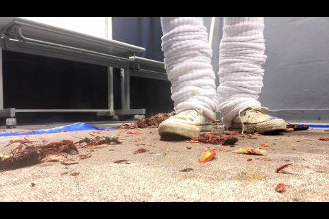 かわいいJDダンスクラッシュ足元アングル【11.12.13】