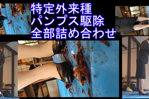 ２９分みくちゃんの特定外来種パンプスで駆除全セット