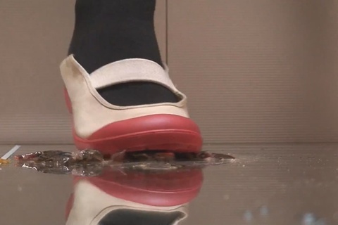 みほちゃんの上履きでザリガニクラッシュ　VOL2最終章