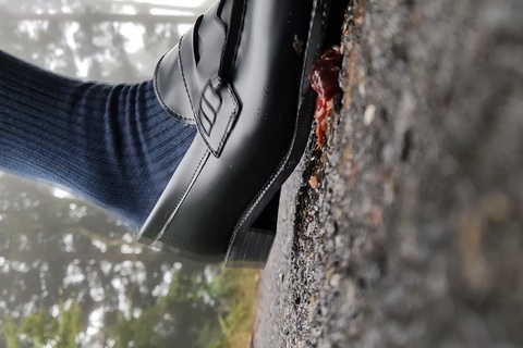 みくちゃんの野外で制服ローファーでザリガニCRUSH　vo...