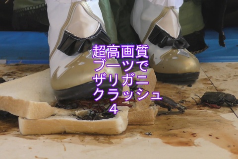 めいちゃんの馬〇コスプレ、ブーツでカブト、ザリCRUSHV...