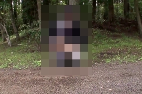 下校途中に野ションをするJ●