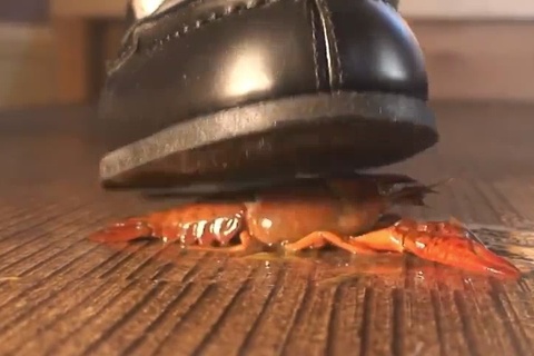 アイドル級美少〇にローファーで踏み潰されたい！