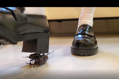 新「エルザさん」ローファーカブトムシローファ４