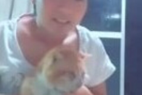 猫と戯れながら(135)