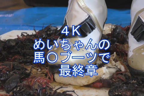 最終章めいちゃんの馬〇コスプレ、ブーツでカブト、ザリCRU...