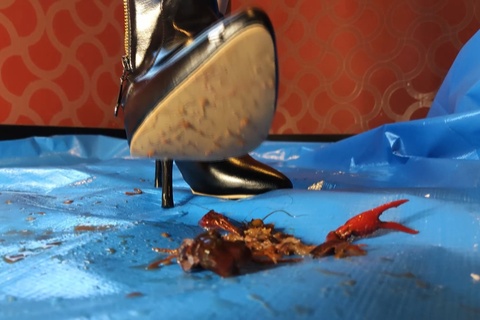 みくちゃんのザリガニにされた罪人処刑　VOL2