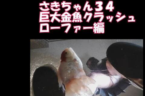 スマホ用縦９：１６さきちゃん３４巨大金魚、ローファークラッシュ
