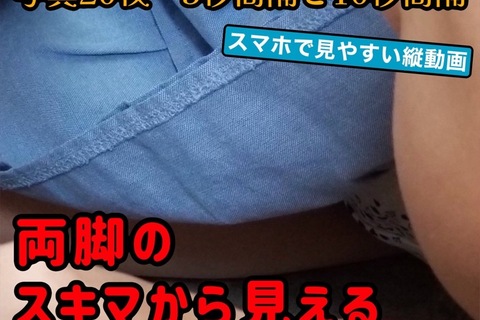 フォト動画 両脚のスキマから見えるパンチラとパンモロ