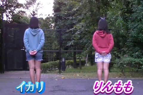 りんももシリーズ 16