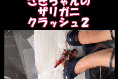 スマホ用9：16縦素人応援企画さきちゃんザリガニクラッシュ２