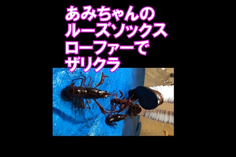 PC用１６：９あみちゃんのルーズソックス、ローファーでザリクラ