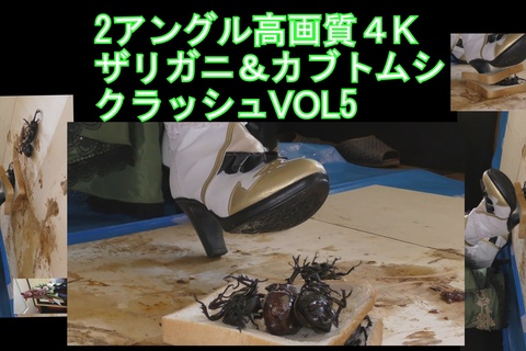 ２アングル高画質４Kめいちゃんのコスプレブーツでザリ、カブ...