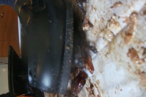 みくちゃんのローファーでカブトムシCRUSH　VOL5最終章