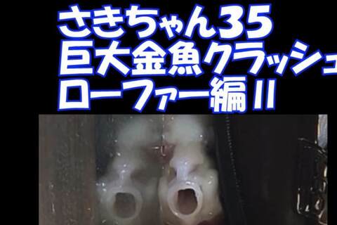 スマホ用縦９：１６さきちゃん３5巨大金魚、ローファークラッシュⅡ