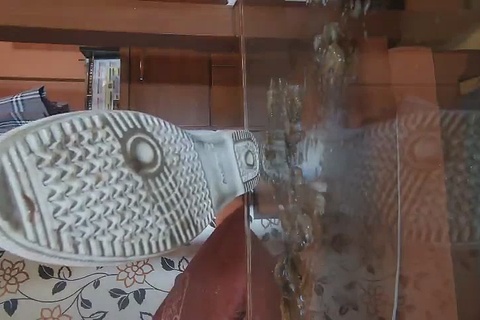 超可愛い女の〇の上履きで小型ザリガニクラッシュ