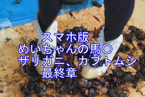 最終章スマホ版めいちゃんの馬〇コスプレ、ブーツでカブト、ザ...