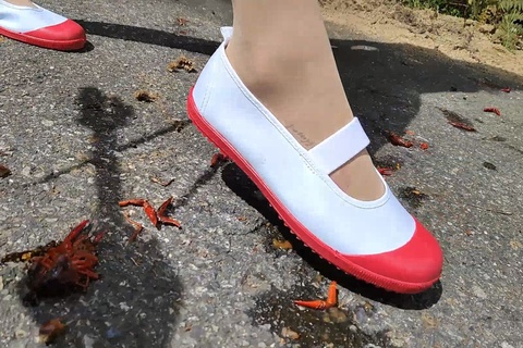 めいちゃんのコスプレ、上履きでザリガニCRUSH　最終章