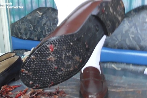 ２４．処ザリ２－３